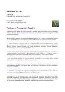 donna-che-cambia-perineo-e-pavimento-pelvico-02