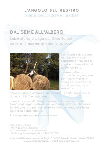 Yoga - Dal seme all'albero